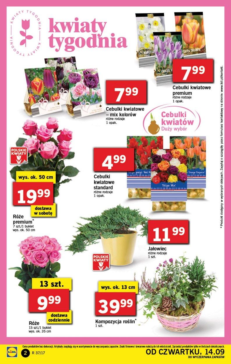 Gazetka promocyjna Lidl str. 2