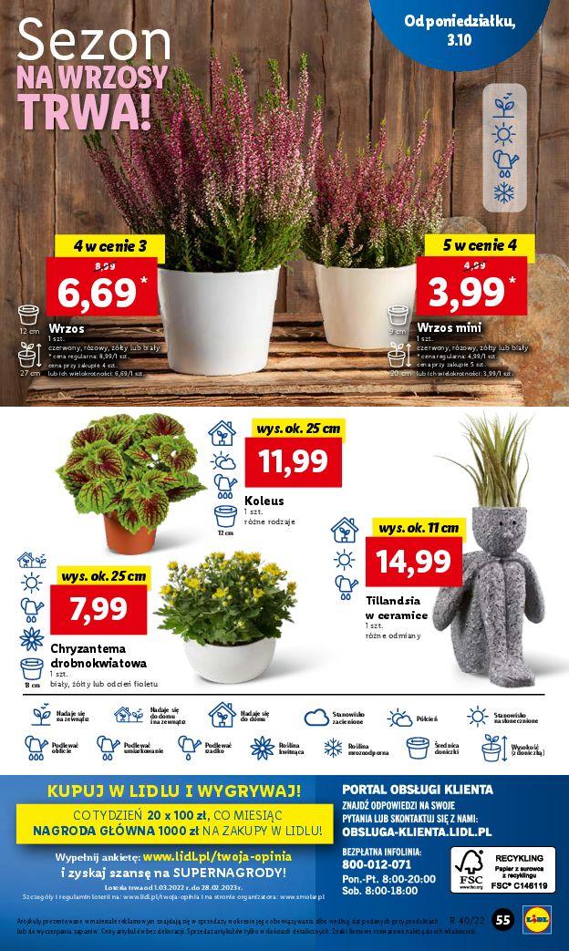 Gazetka promocyjna Lidl str. 55
