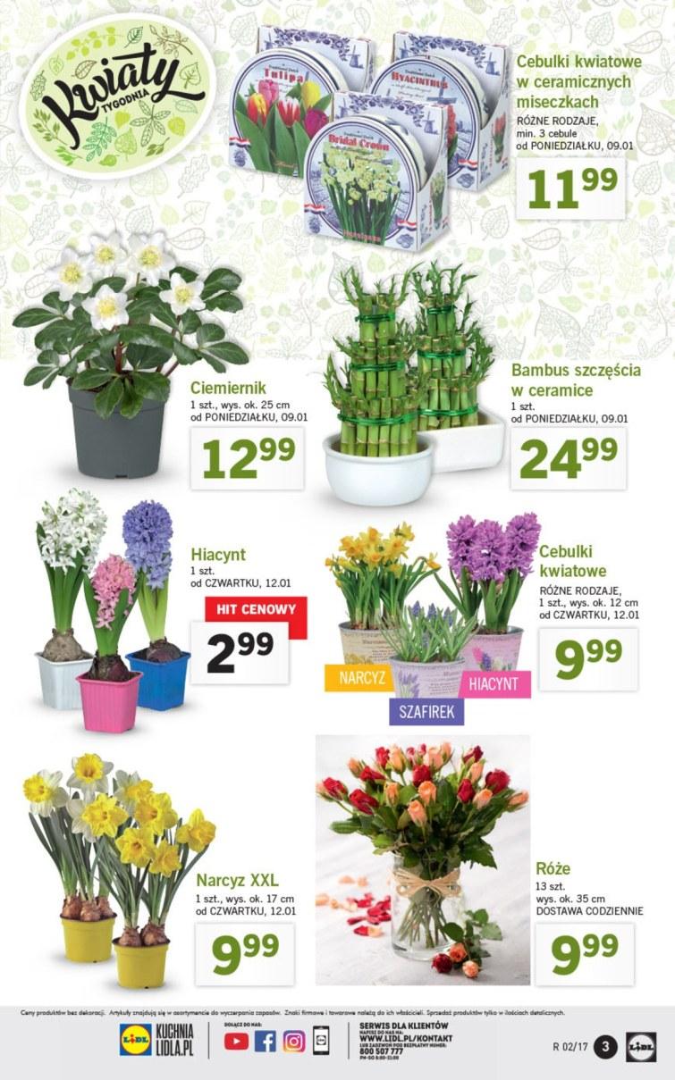 Gazetka promocyjna Lidl str. 3