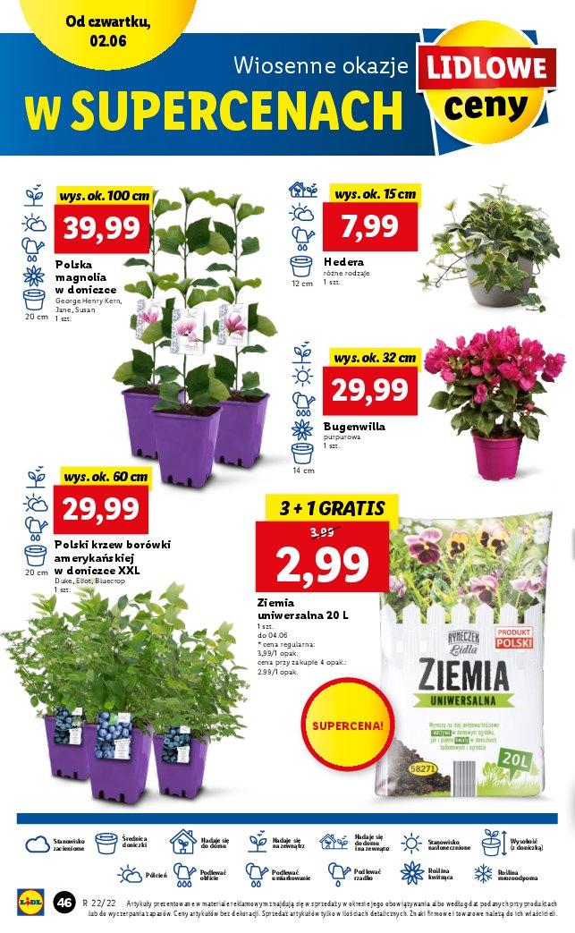 Gazetka promocyjna Lidl str. 46