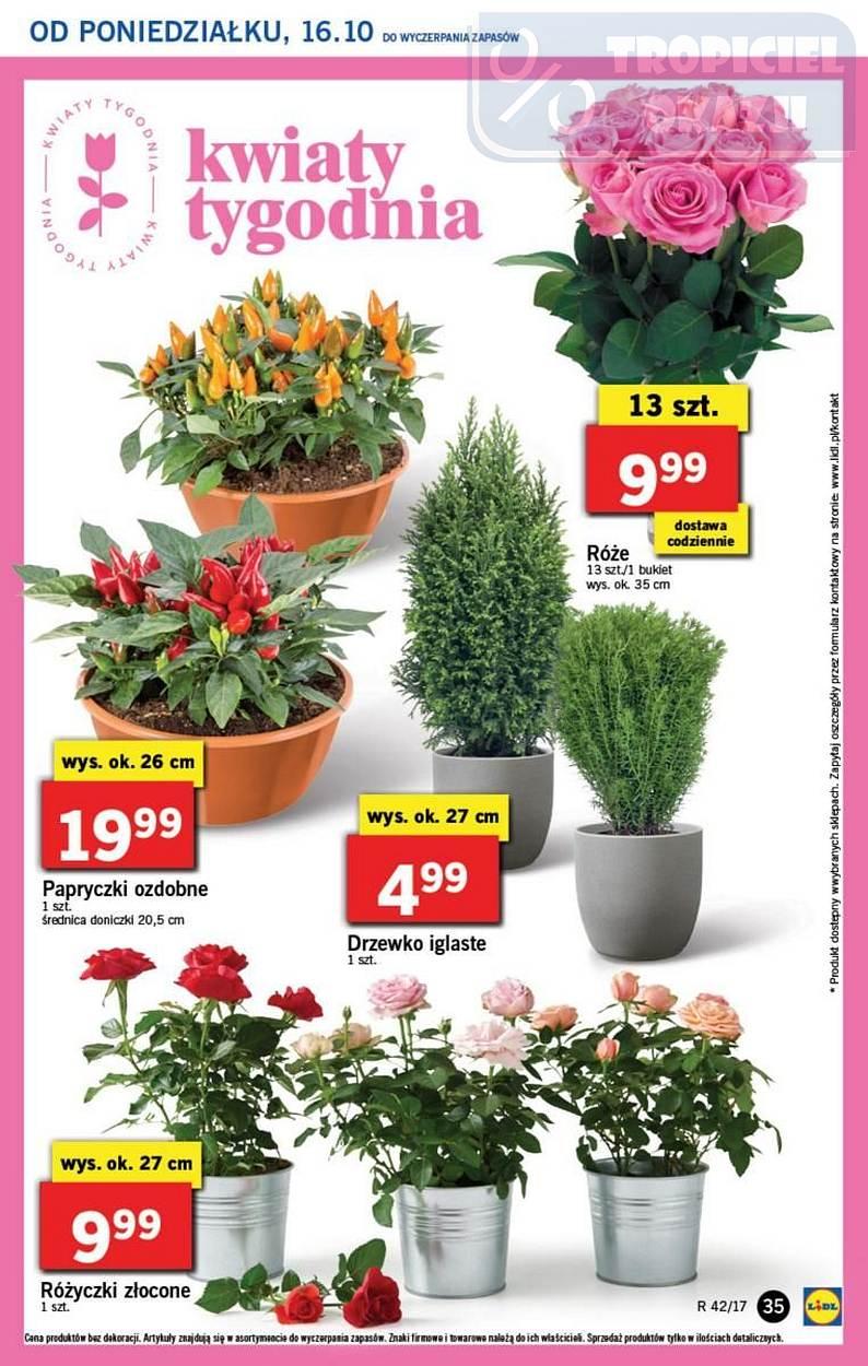 Gazetka promocyjna Lidl str. 35