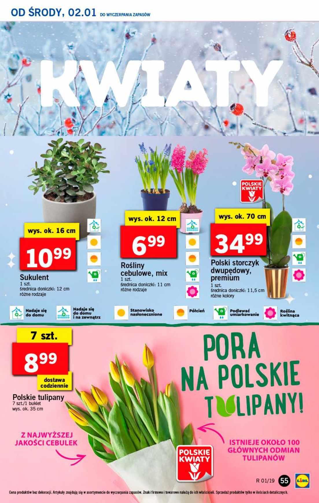 Gazetka promocyjna Lidl str. 55
