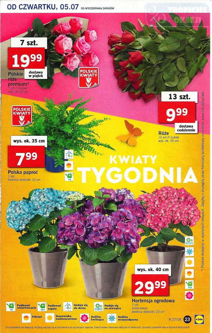 Gazetka promocyjna Lidl str. 23
