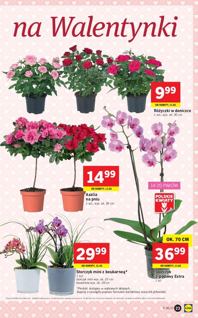 Gazetka promocyjna Lidl str. 23