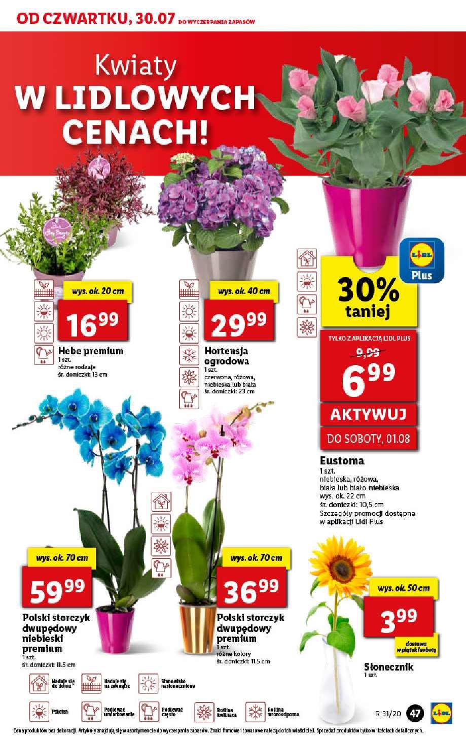 Gazetka promocyjna Lidl str. 47