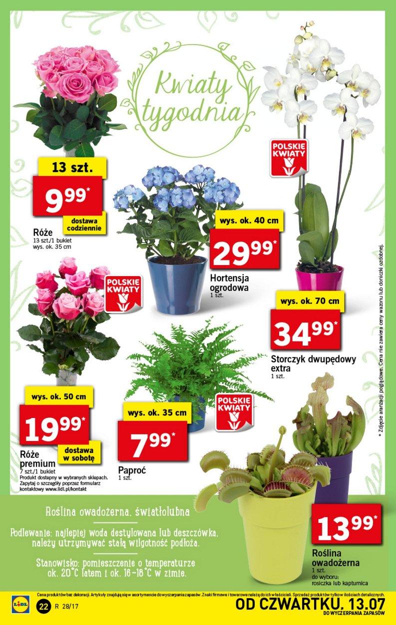 Gazetka promocyjna Lidl str. 22