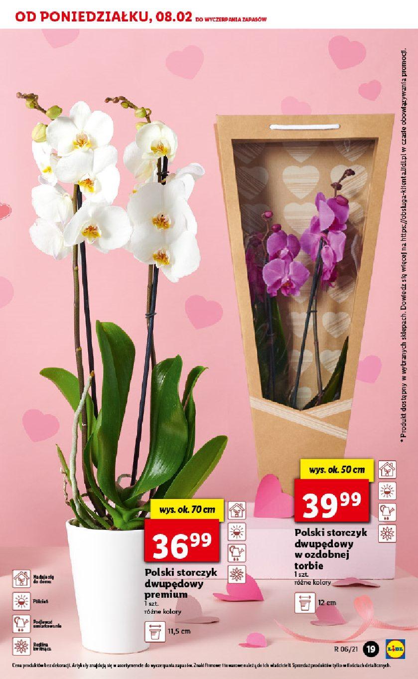 Gazetka promocyjna Lidl str. 19