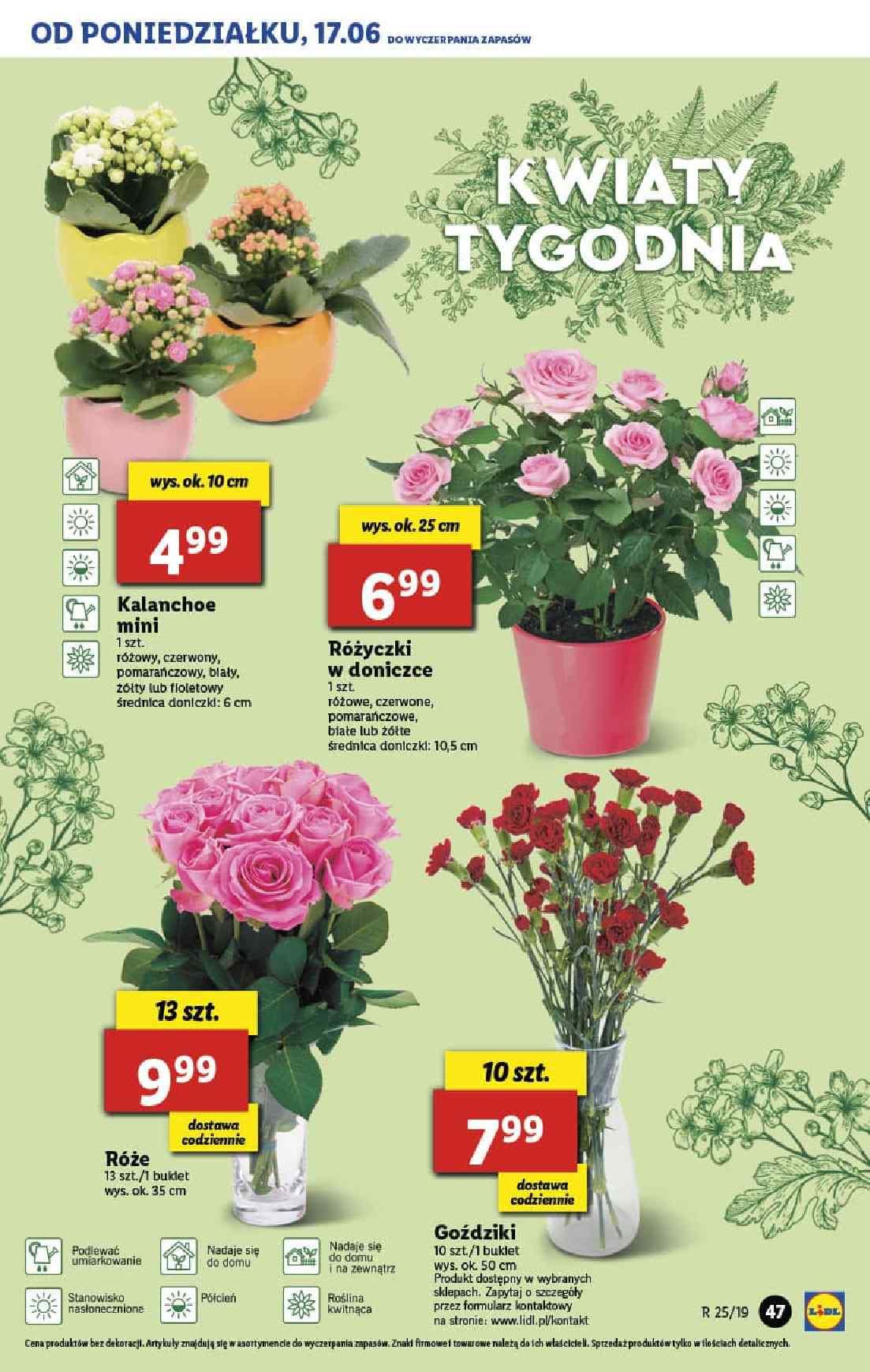 Gazetka promocyjna Lidl str. 47