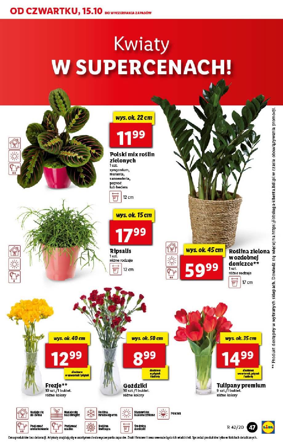Gazetka promocyjna Lidl str. 47