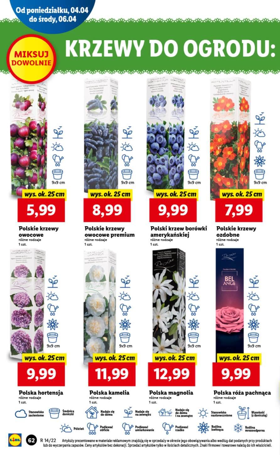 Gazetka promocyjna Lidl str. 62