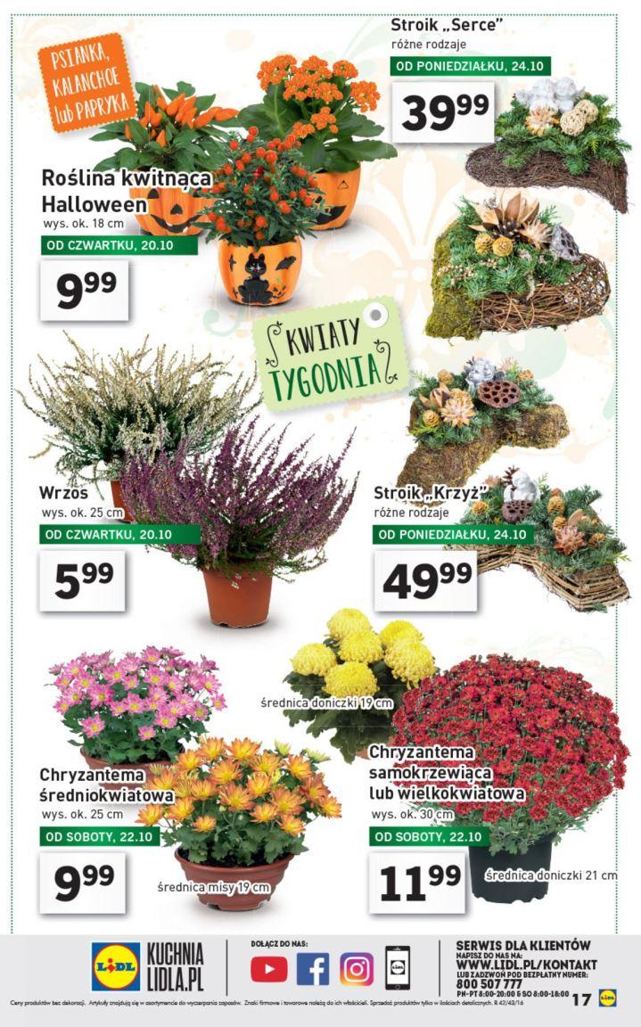 Gazetka promocyjna Lidl str. 17