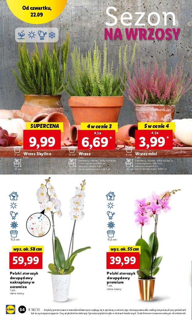 Gazetka promocyjna Lidl str. 54