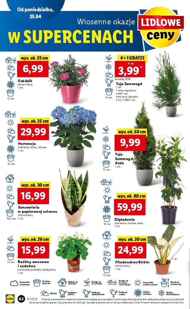 Gazetka promocyjna Lidl str. 62