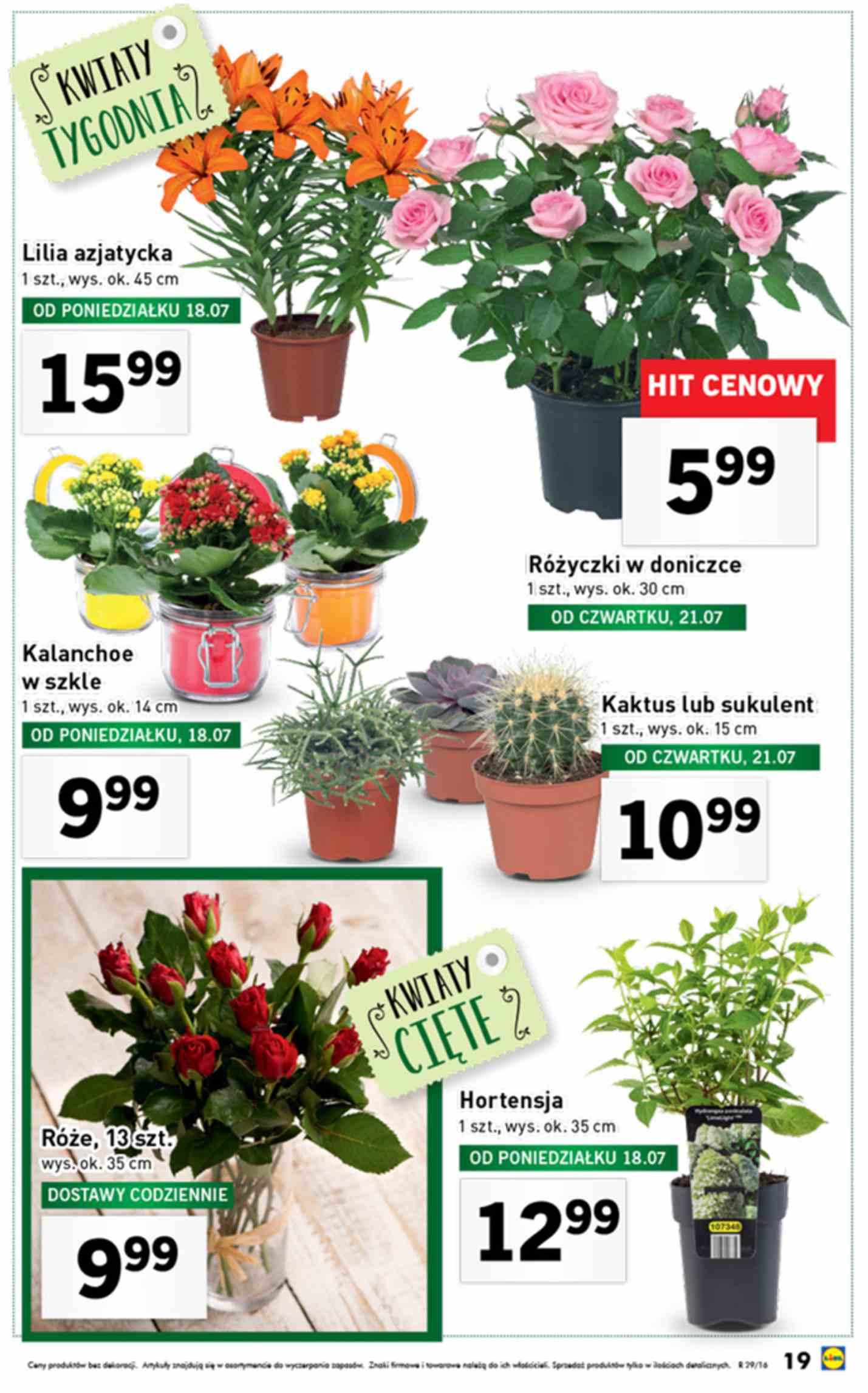 Gazetka promocyjna Lidl str. 19