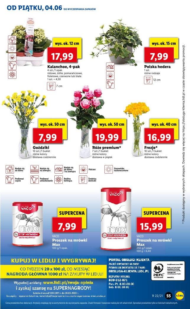 Gazetka promocyjna Lidl str. 55