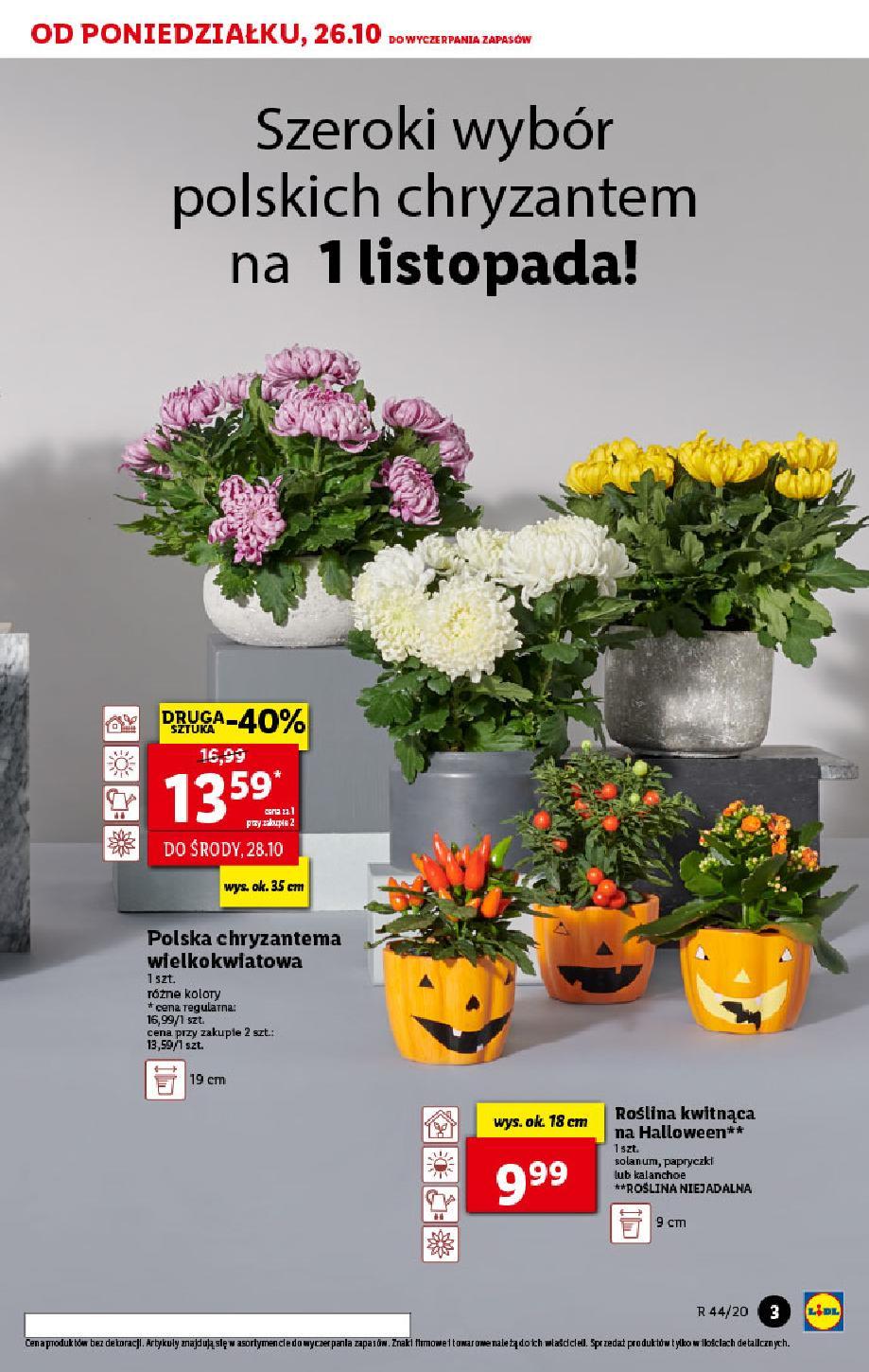 Gazetka promocyjna Lidl str. 3