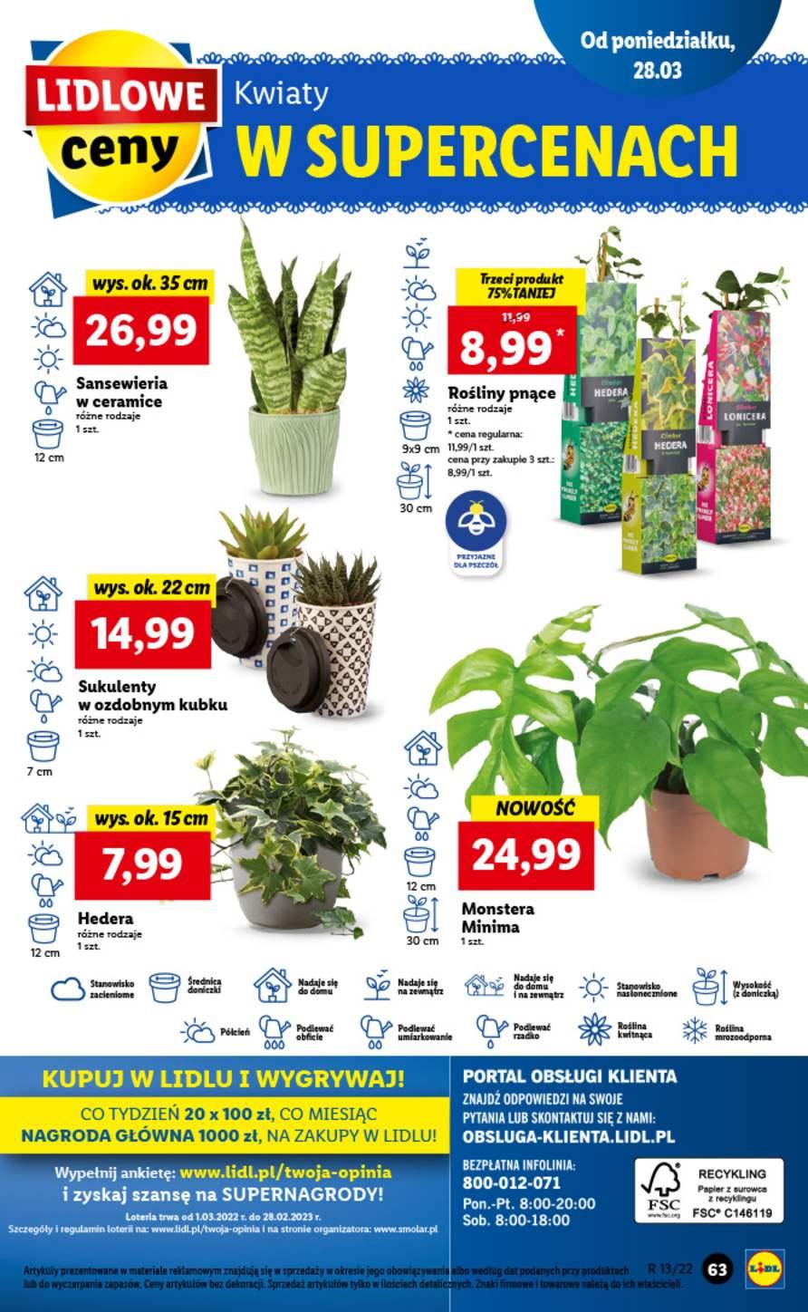 Gazetka promocyjna Lidl str. 63