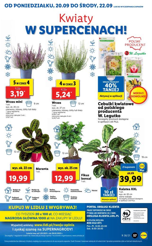 Gazetka promocyjna Lidl str. 55