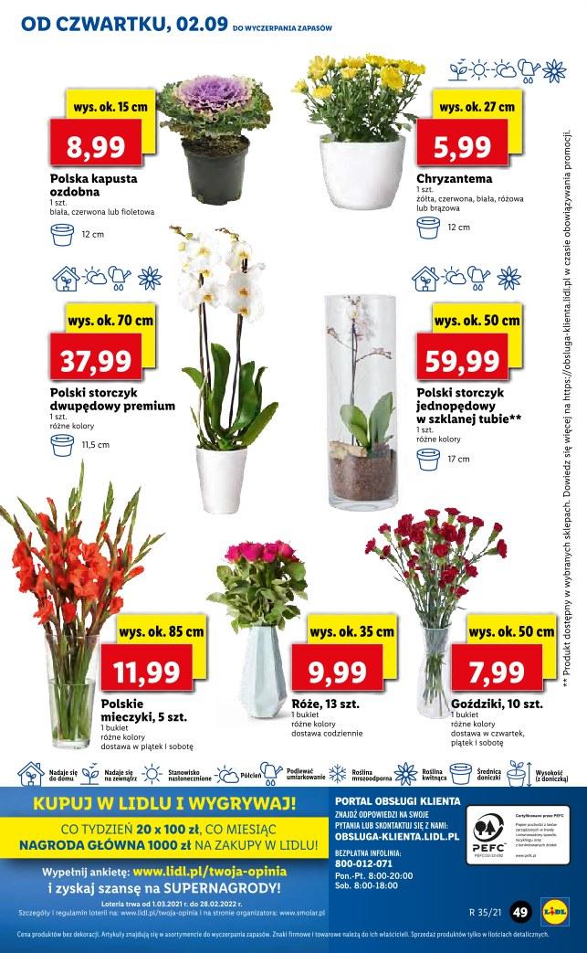 Gazetka promocyjna Lidl str. 49