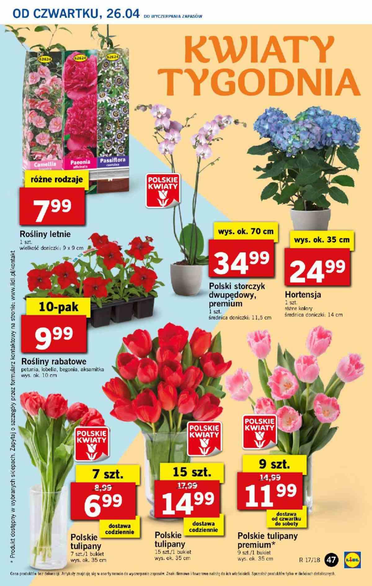 Gazetka promocyjna Lidl str. 47