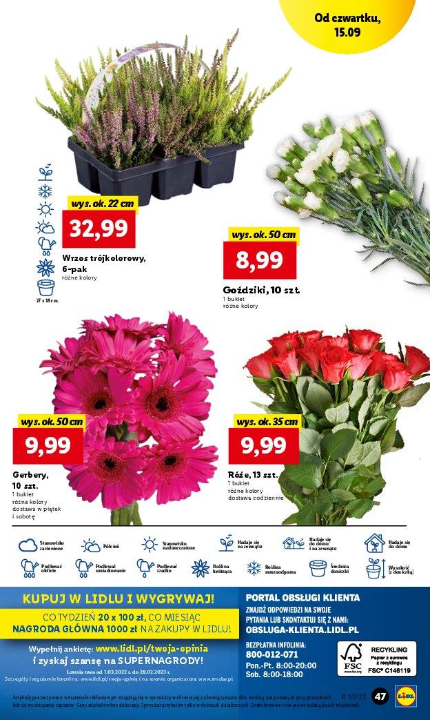 Gazetka promocyjna Lidl str. 47