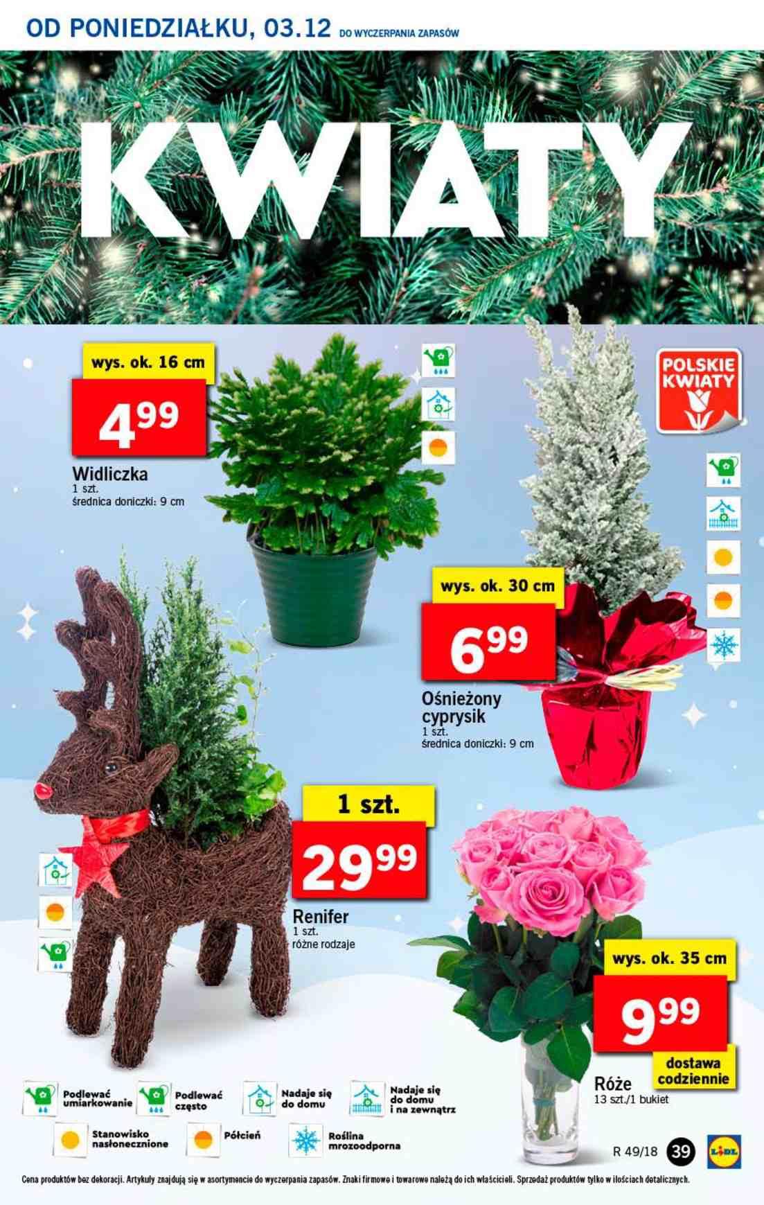 Gazetka promocyjna Lidl str. 39