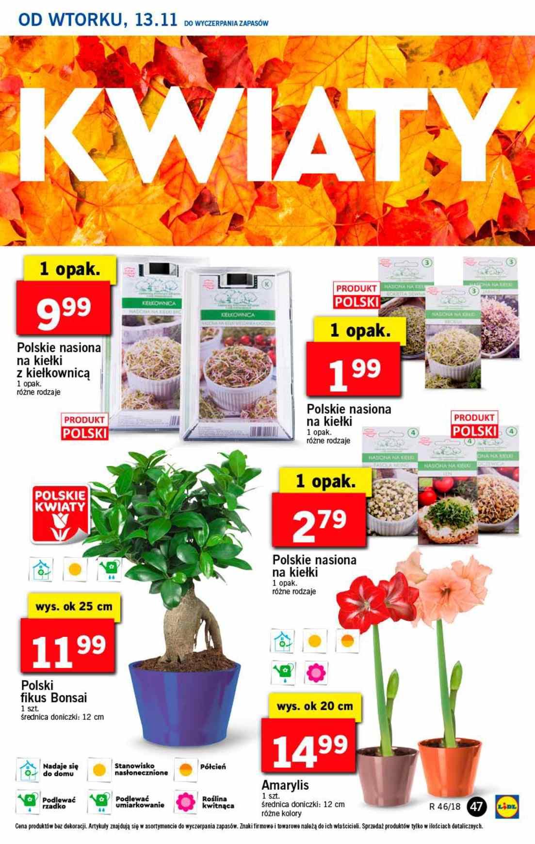 Gazetka promocyjna Lidl str. 47
