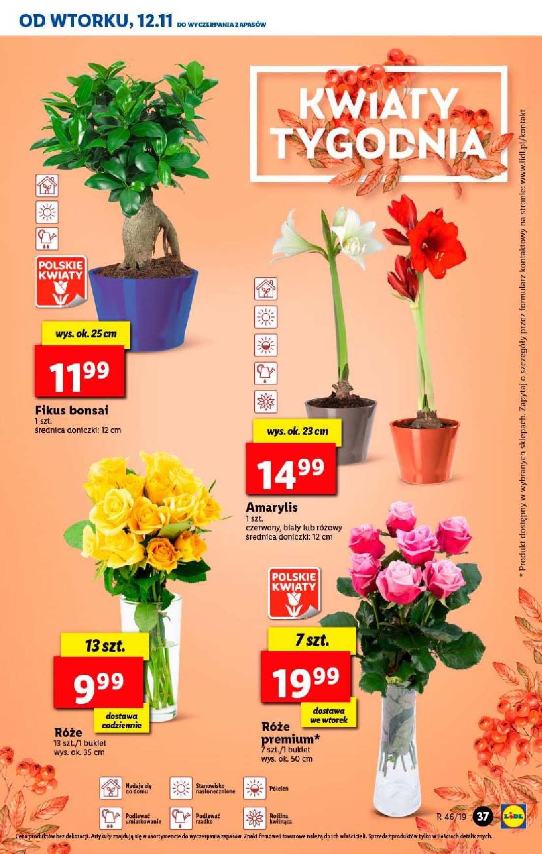 Gazetka promocyjna Lidl str. 37