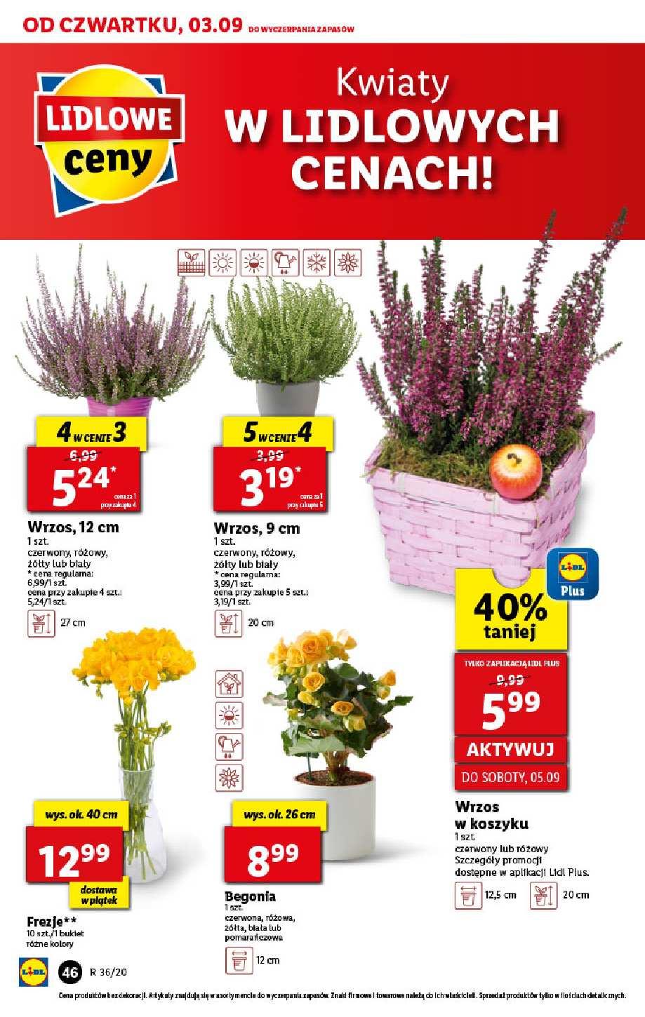 Gazetka promocyjna Lidl str. 46