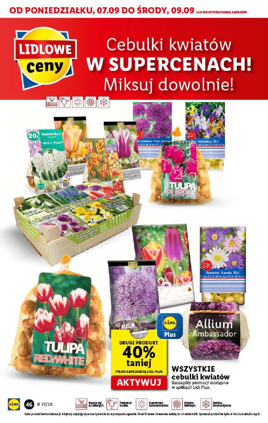 Gazetka promocyjna Lidl str. 46