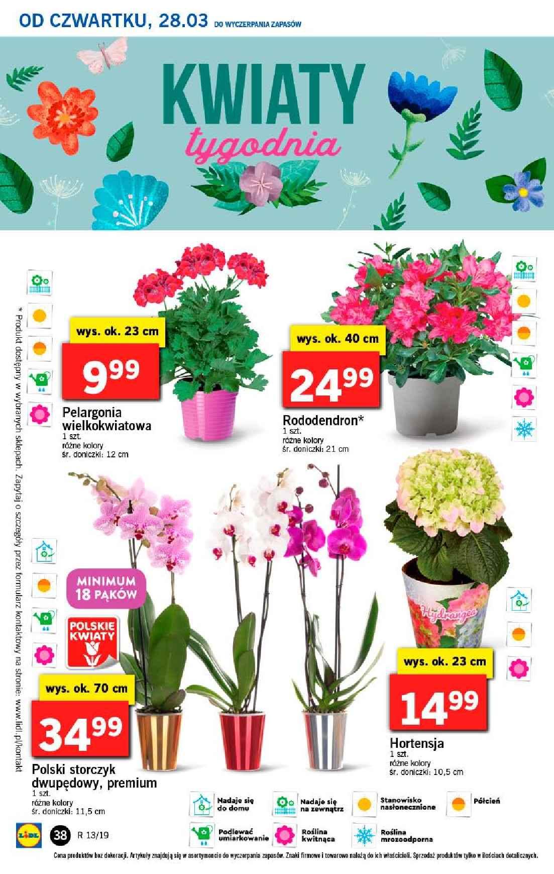 Gazetka promocyjna Lidl str. 38