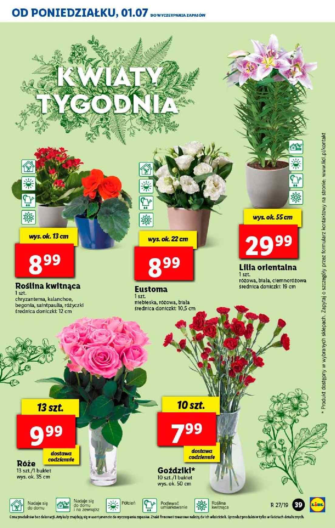 Gazetka promocyjna Lidl str. 39