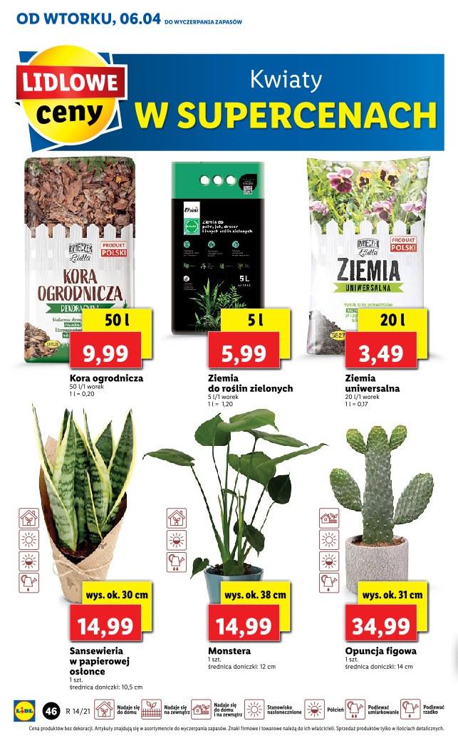 Gazetka promocyjna Lidl str. 46