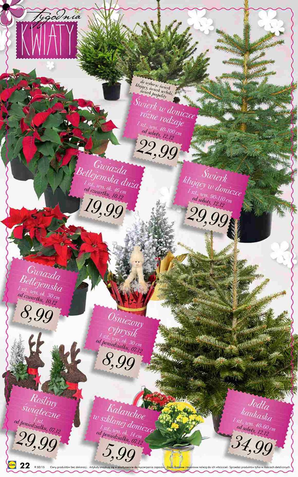 Gazetka promocyjna Lidl str. 22