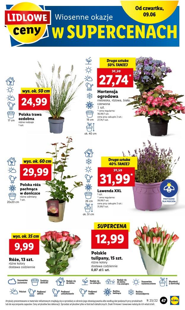 Gazetka promocyjna Lidl str. 47