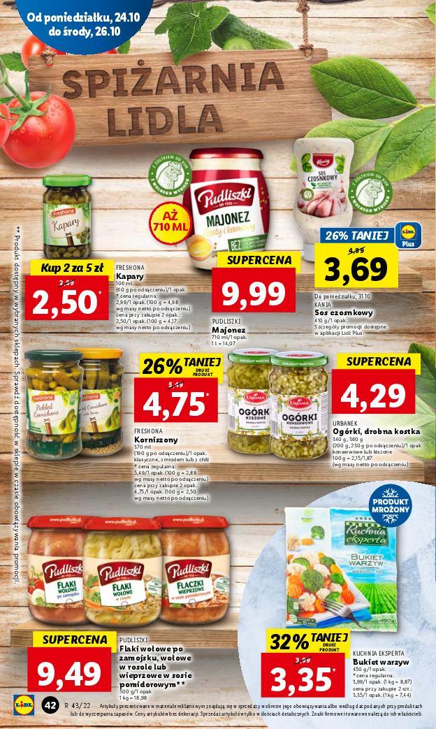 Gazetka promocyjna Lidl str. 42