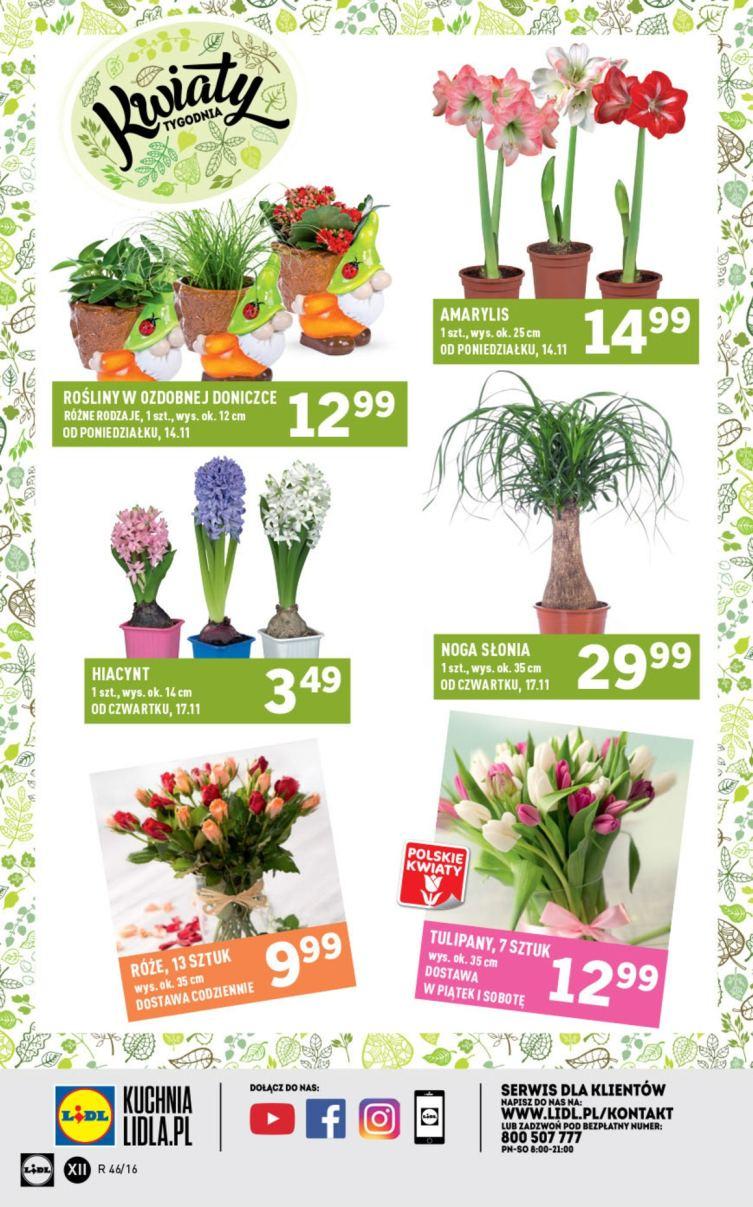 Gazetka promocyjna Lidl str. 33