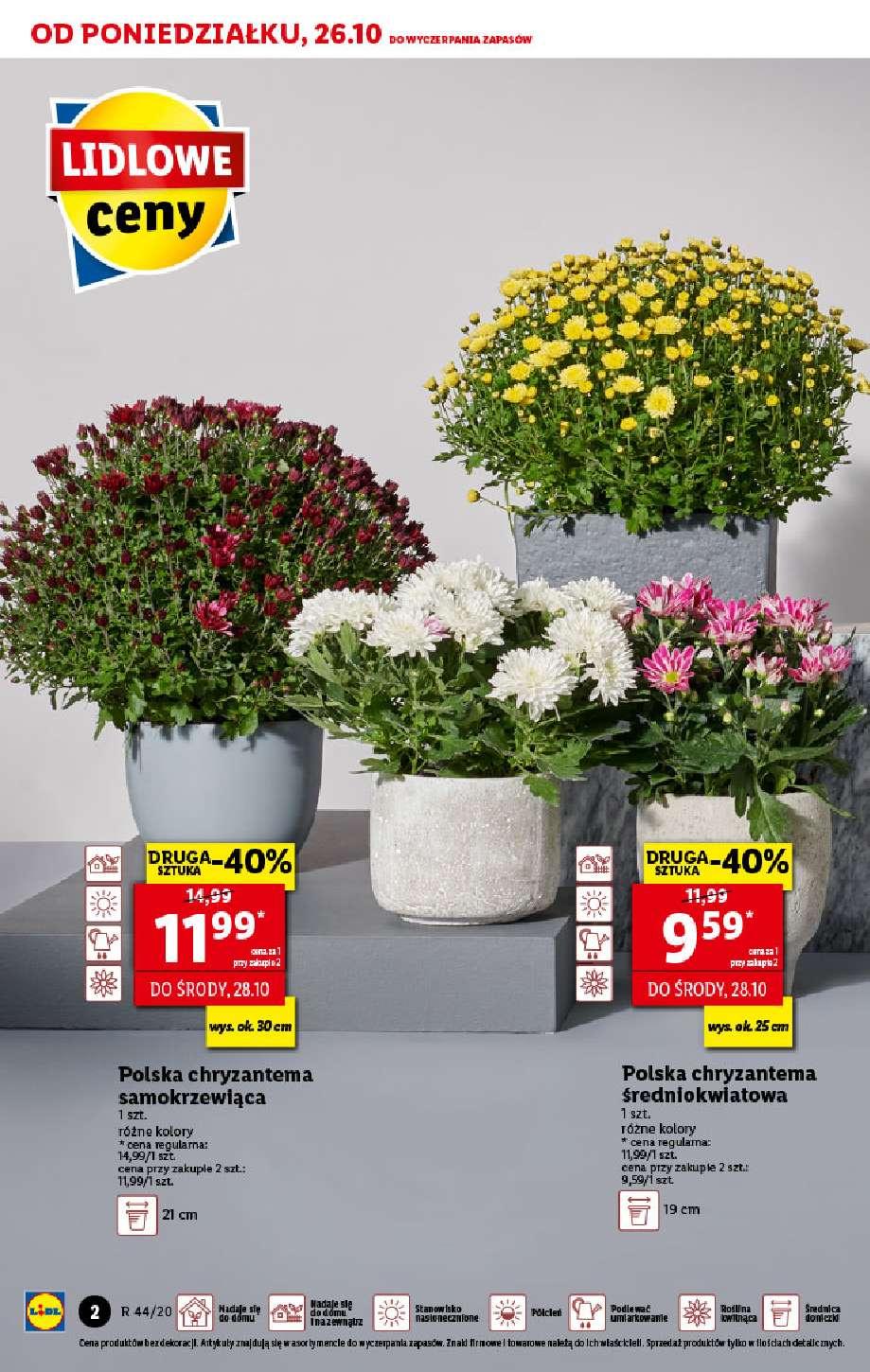 Gazetka promocyjna Lidl str. 2