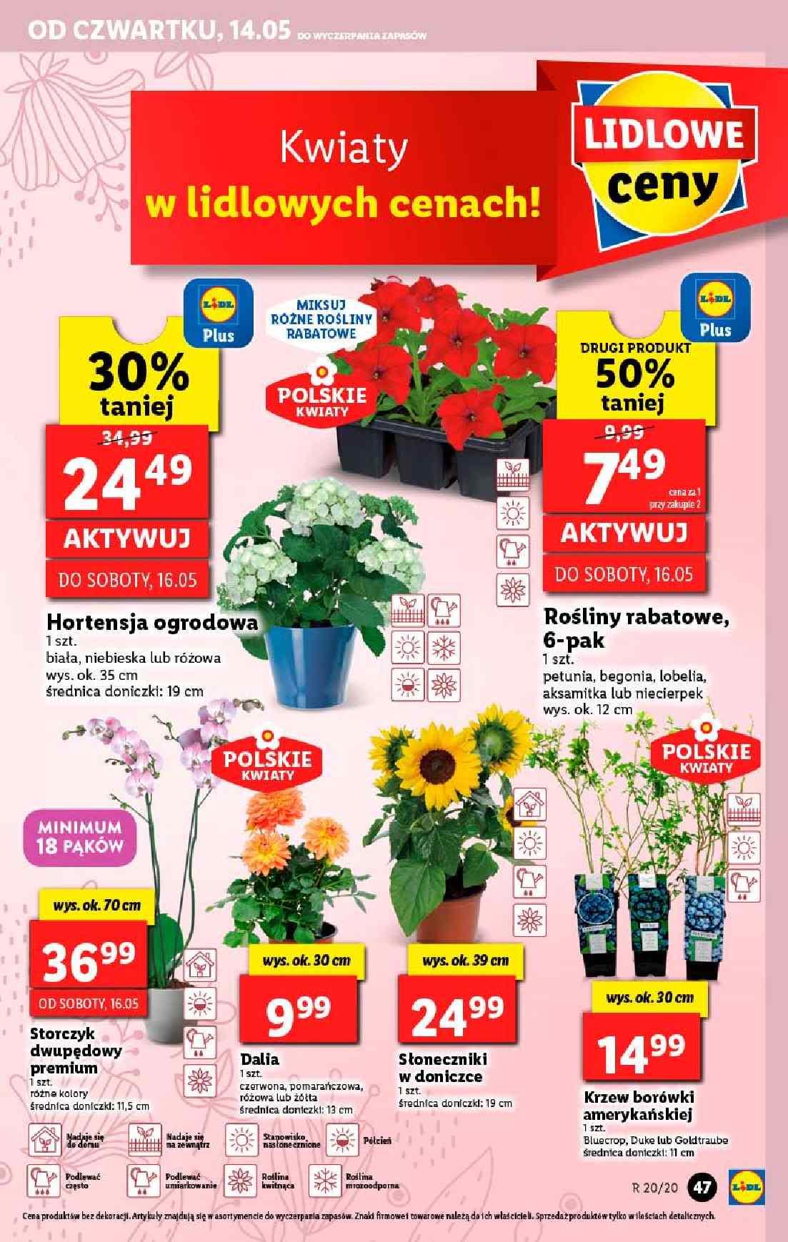 Gazetka promocyjna Lidl str. 47