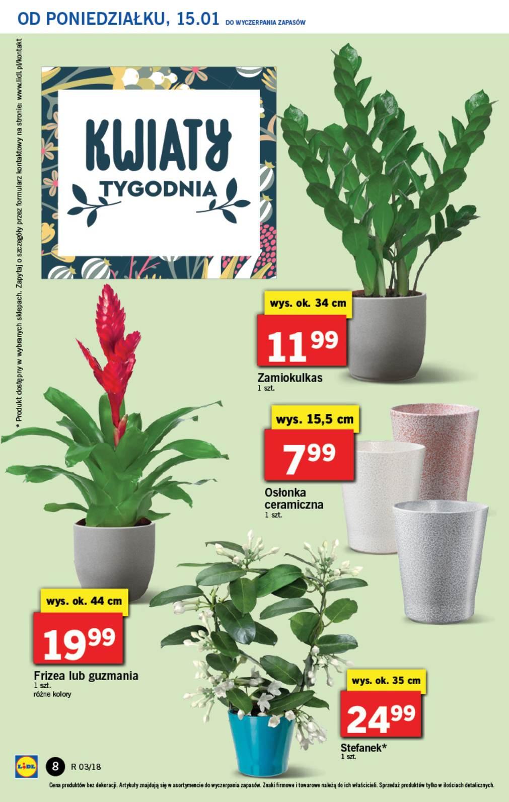 Gazetka promocyjna Lidl str. 8