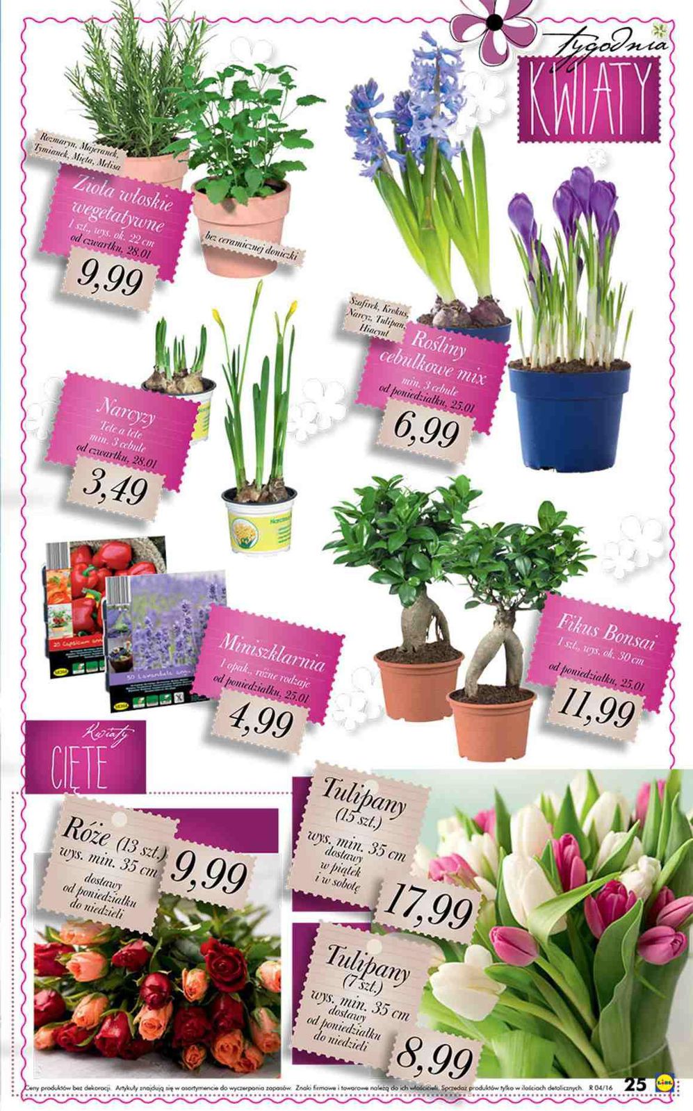 Gazetka promocyjna Lidl str. 25