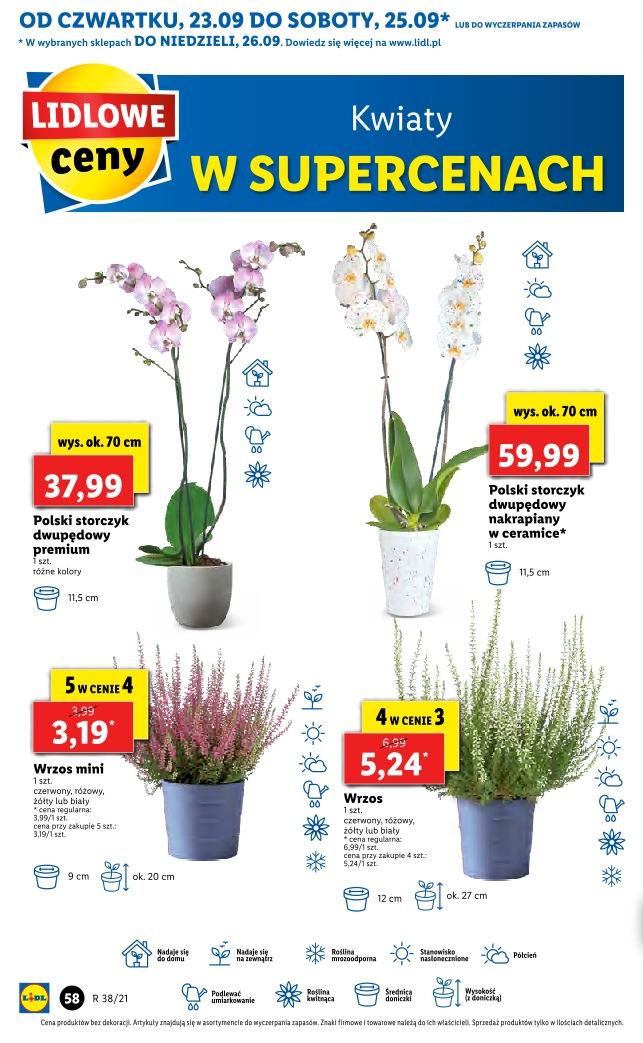 Gazetka promocyjna Lidl str. 54