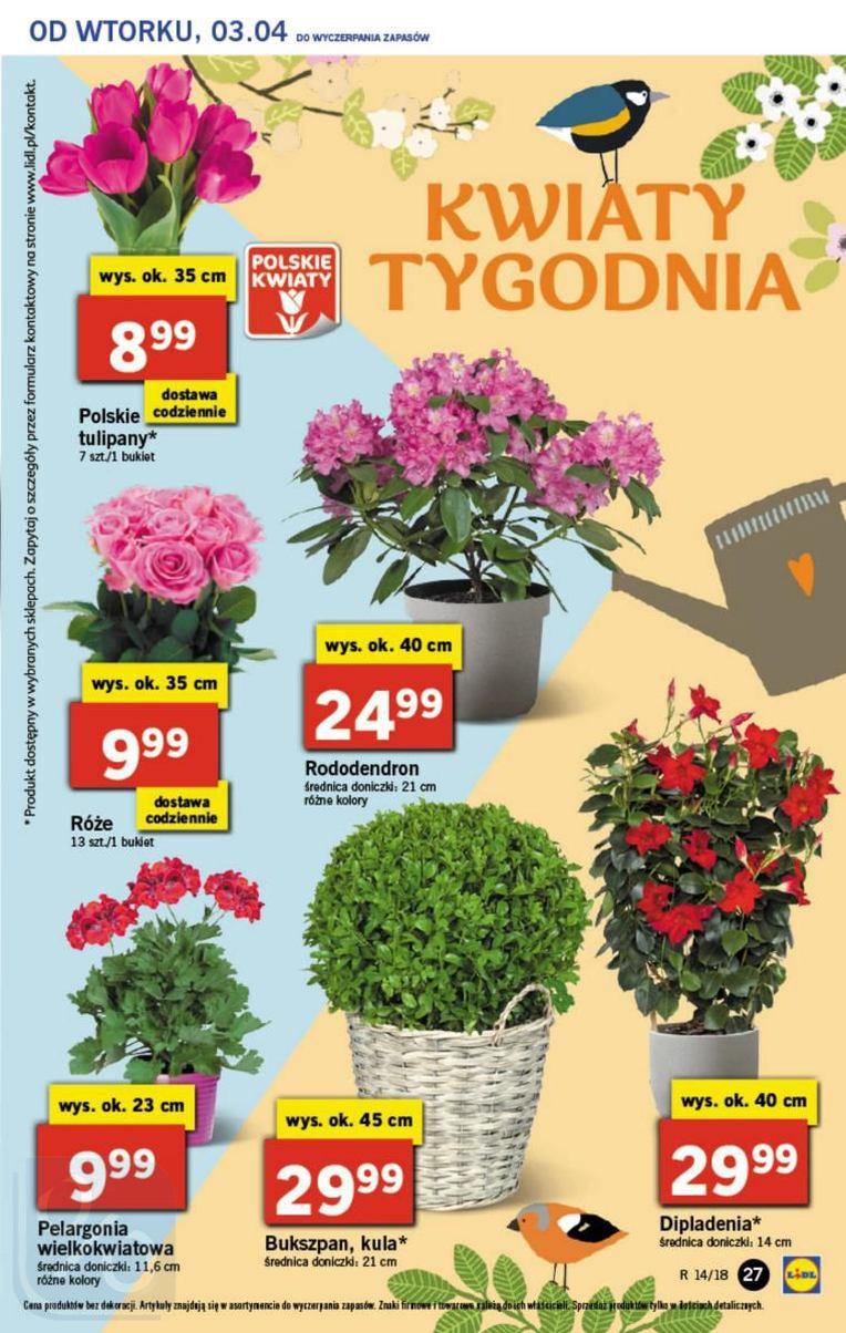 Gazetka promocyjna Lidl str. 27