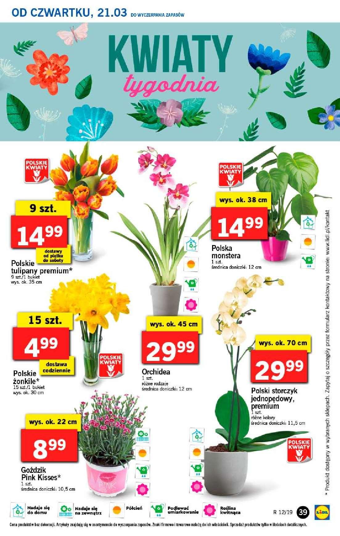 Gazetka promocyjna Lidl str. 39