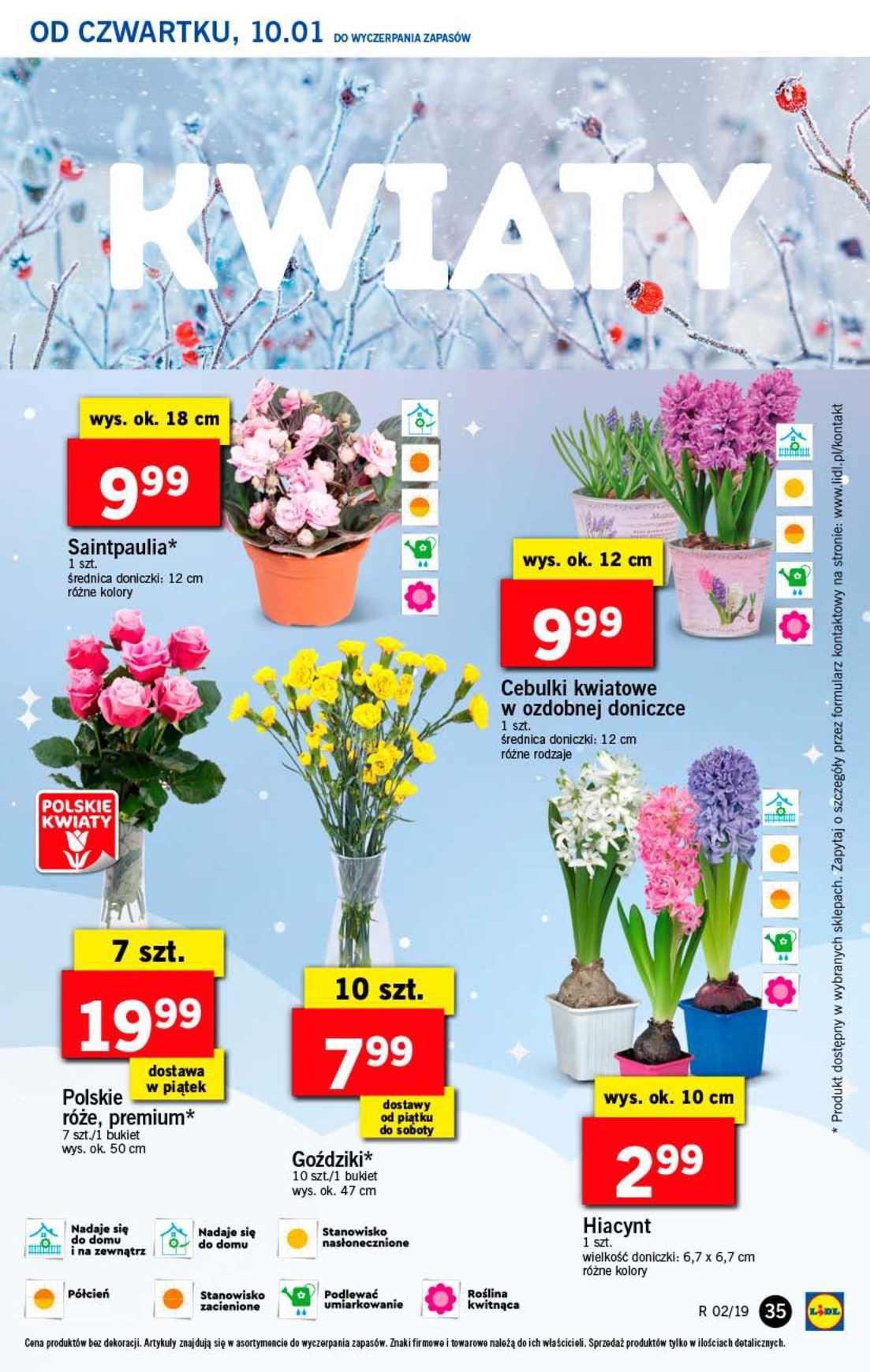 Gazetka promocyjna Lidl str. 35