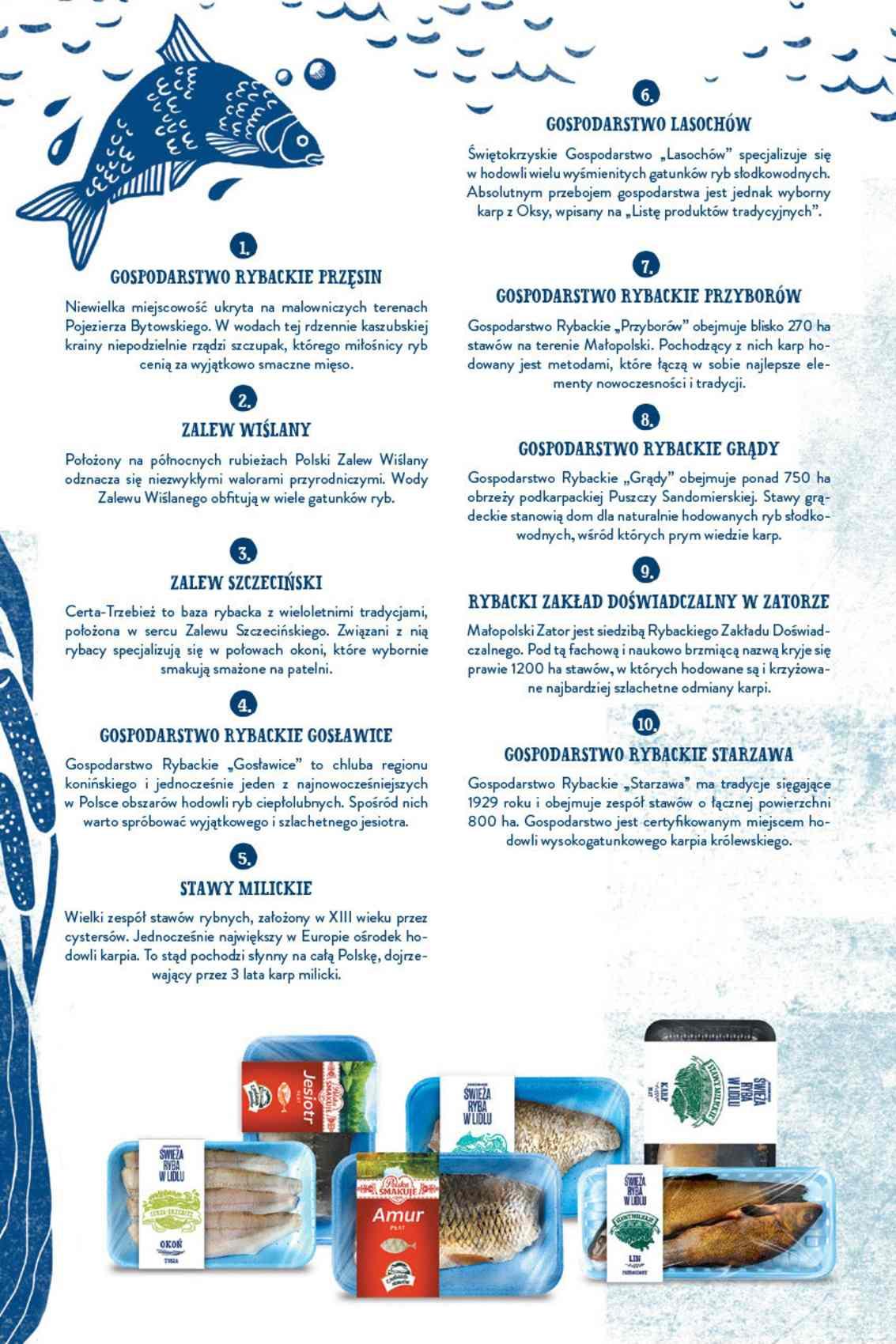 Gazetka promocyjna Lidl str. 17