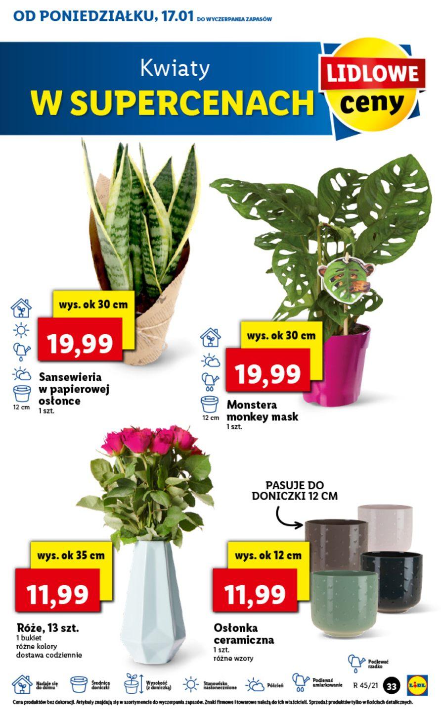 Gazetka promocyjna Lidl str. 33