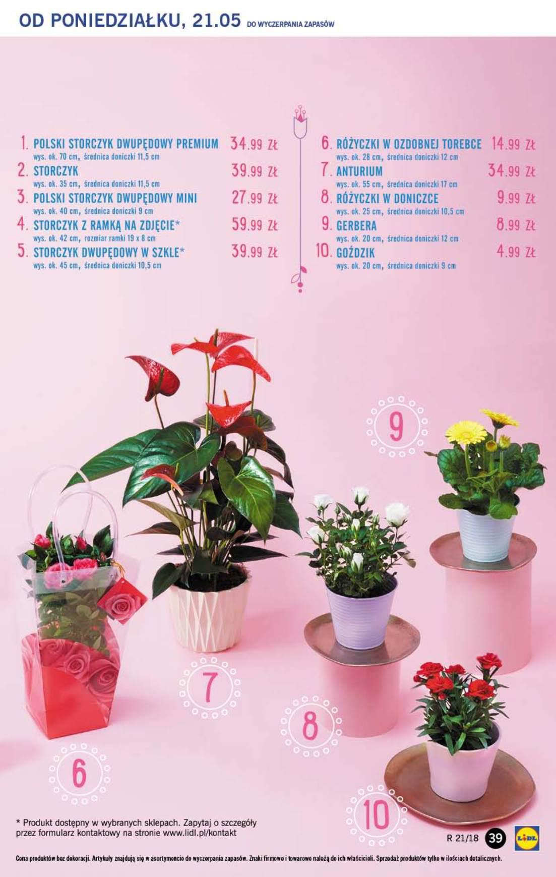 Gazetka promocyjna Lidl str. 39