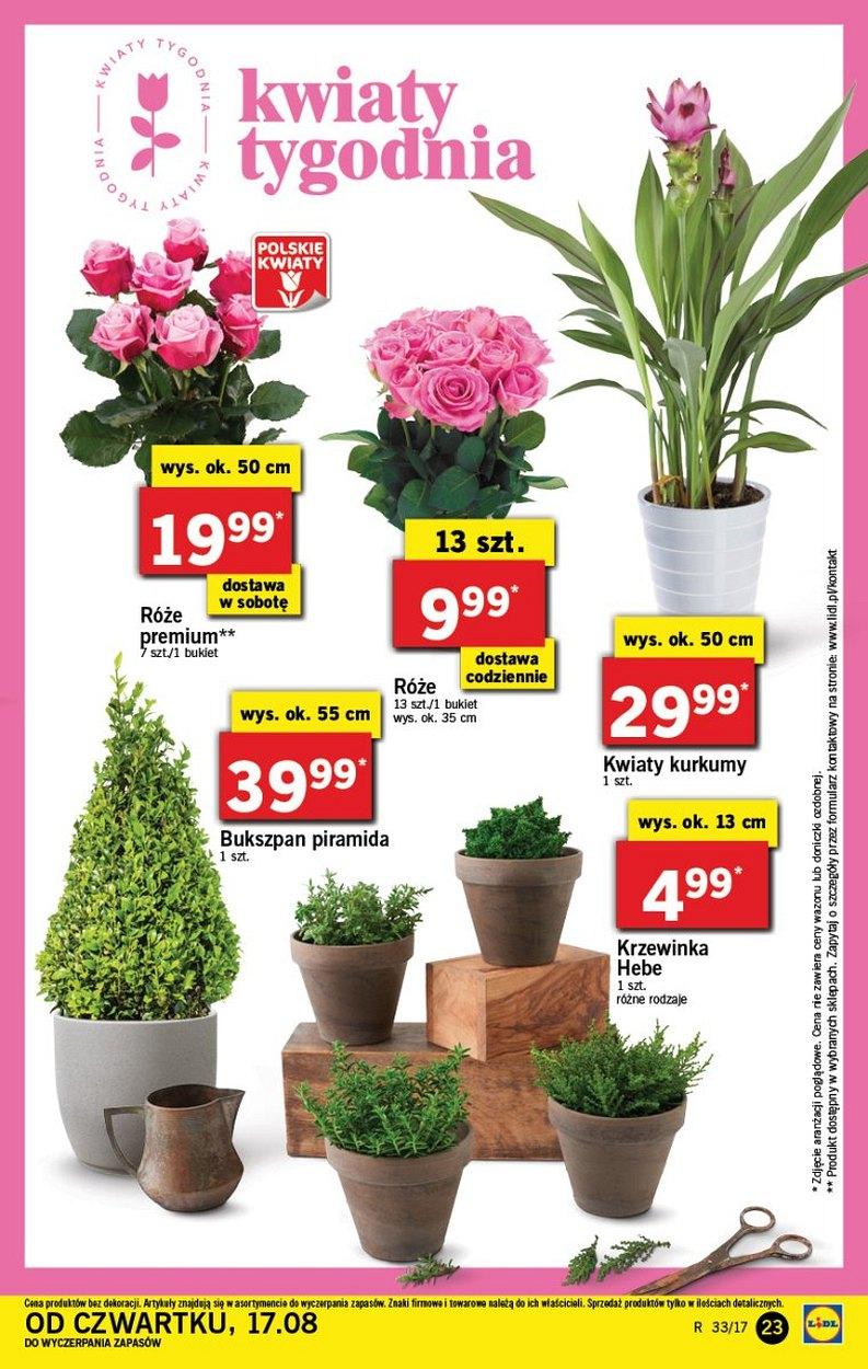 Gazetka promocyjna Lidl str. 23