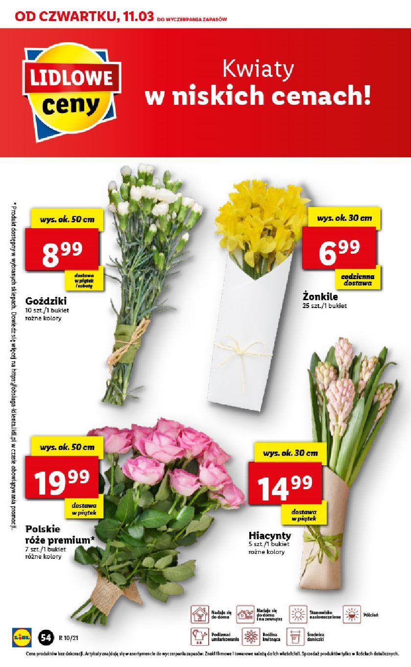 Gazetka promocyjna Lidl str. 54